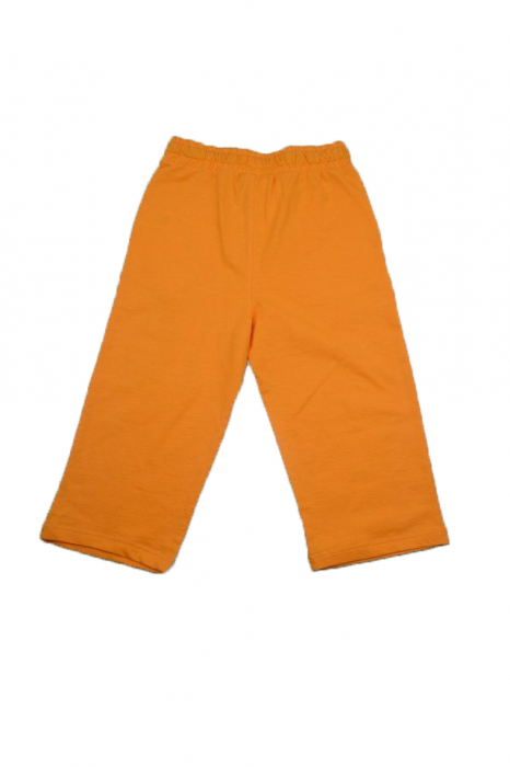 Pantaloni scurti pentru baieti Wendee DY56115-2P-140, Portocaliu [2]
