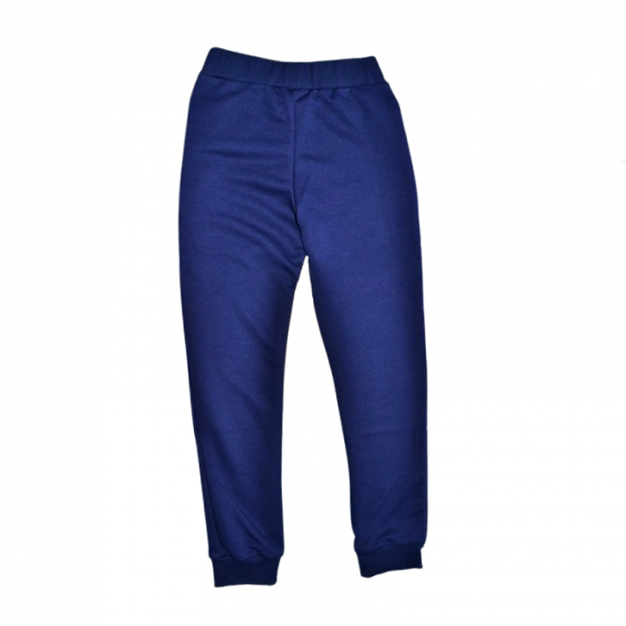 Pantaloni sport pentru baieti GT GT-0327, Albastru [2]