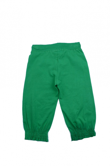 Pantaloni sport pentru fete 3/4 Wendeee DY56106-1V-98, Verde [2]