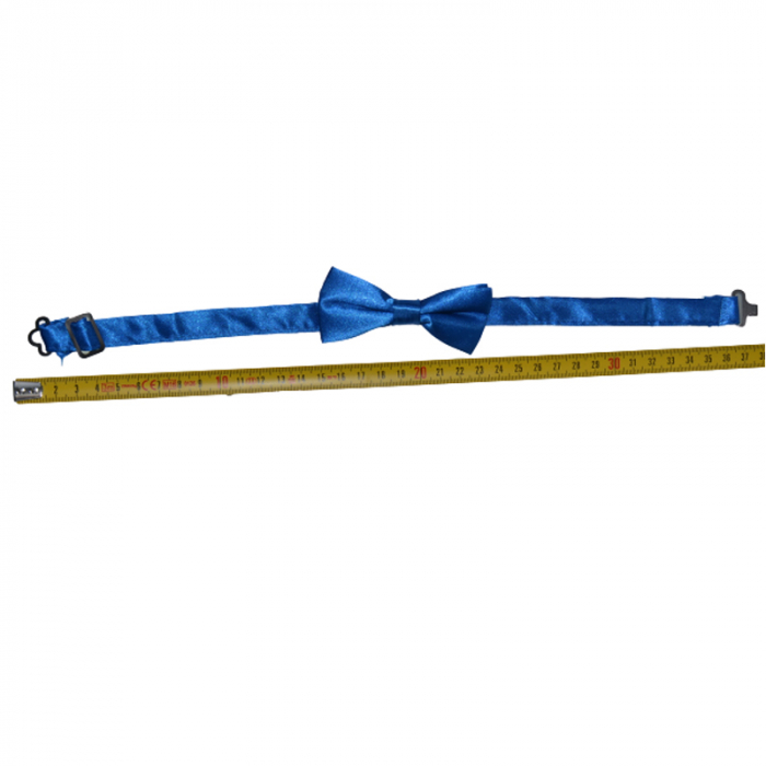 Papion pentru baieti Looks Kids 2504A-9 cm, Albastru [2]