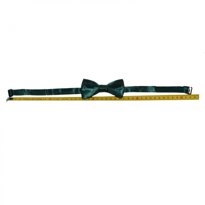 Papion pentru baieti Mini Junior PMJ-02, Verde [3]
