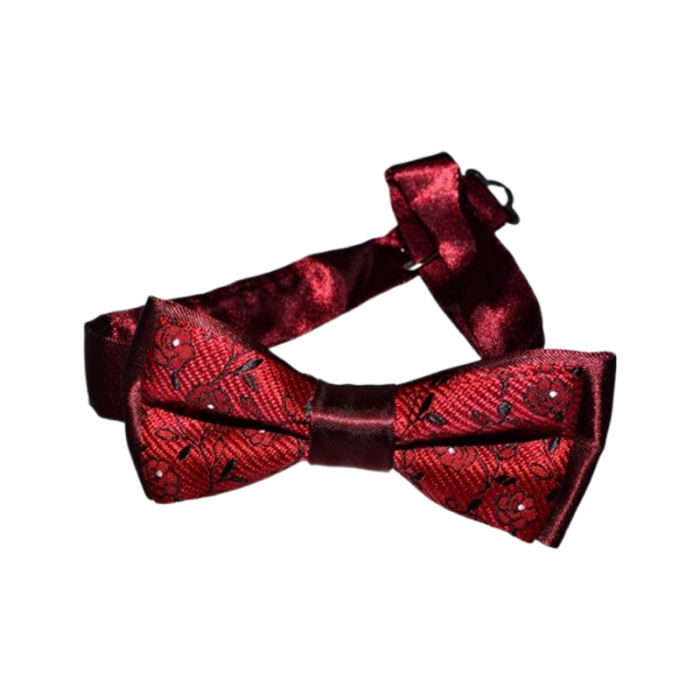 Papion pentru baieti, Mini Junior PPN2703-1, Visiniu [1]