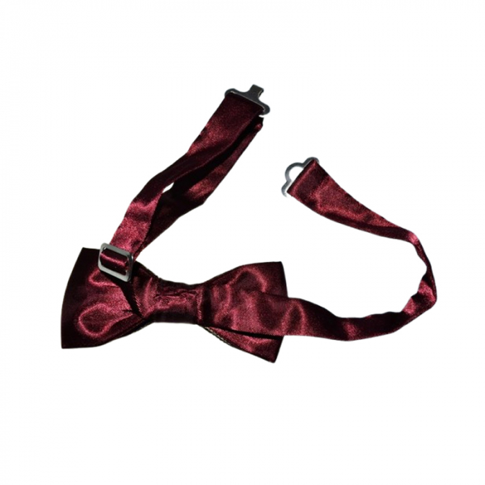Papion pentru baieti, Mini Junior PPN2703-15, Multicolor [2]