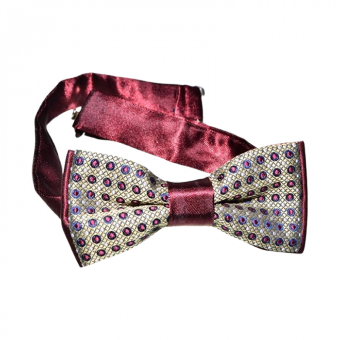 Papion pentru baieti, Mini Junior PPN2703-15, Multicolor [1]