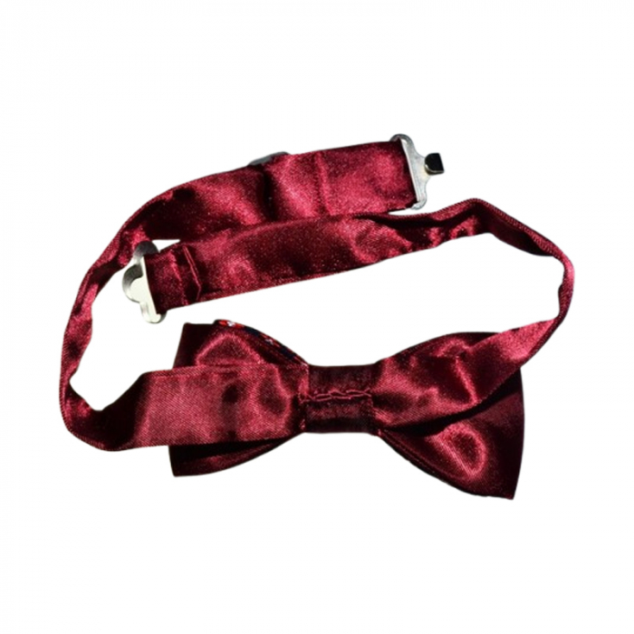 Papion pentru baieti, Mini Junior PPN2703-3, Visiniu [2]