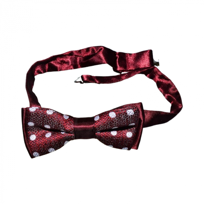 Papion pentru baieti, Mini Junior PPN2703-4, Visiniu [1]