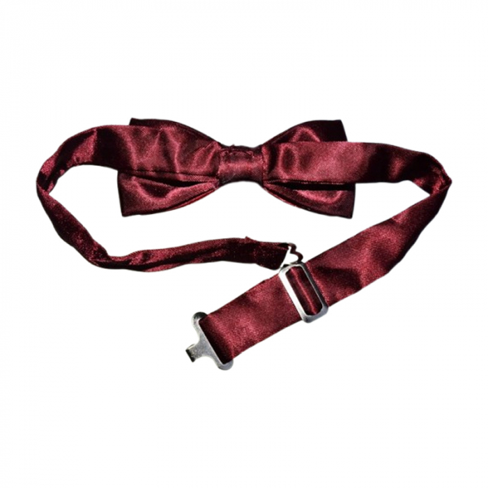 Papion pentru baieti, Mini Junior PPN2703-7, Rosu [2]