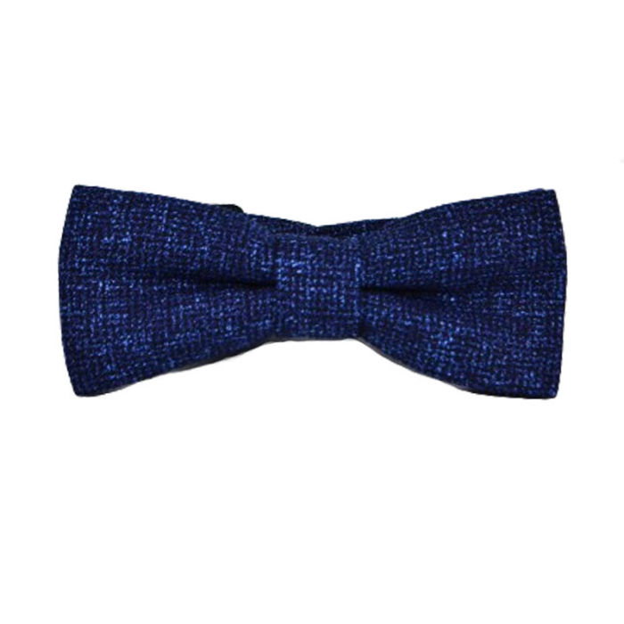 Papion pentru baieti Mini Junior PPNMJ-5, Bleumarin [1]