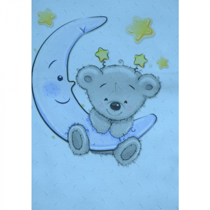 Paturica 80 x 80 cm pentru bebelusi Mini Junior 3029AL [2]