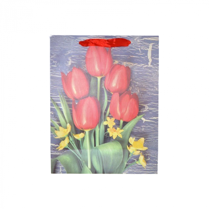 Punga pentru cadouri din hartie groasa cu manere din snur, 32 x 25 x 11 cm, Midex 210225-09, Multicolor [1]