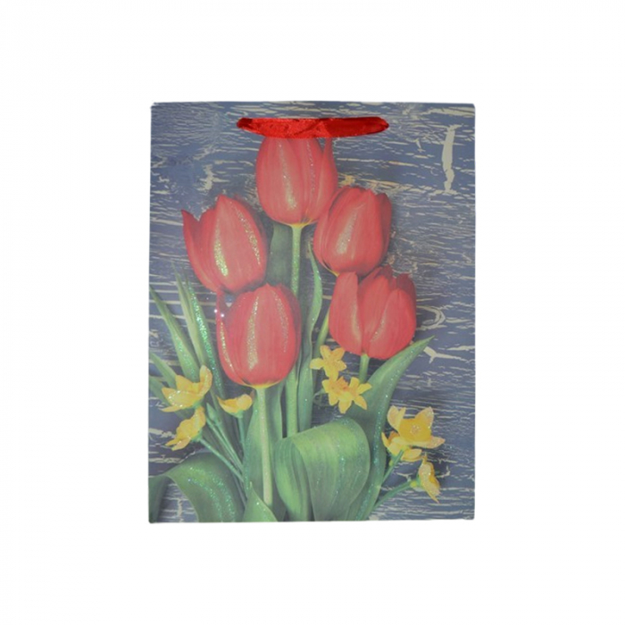 Punga pentru cadouri din hartie groasa cu manere din snur, 32 x 25 x 11 cm, Midex 210225-09, Multicolor [2]