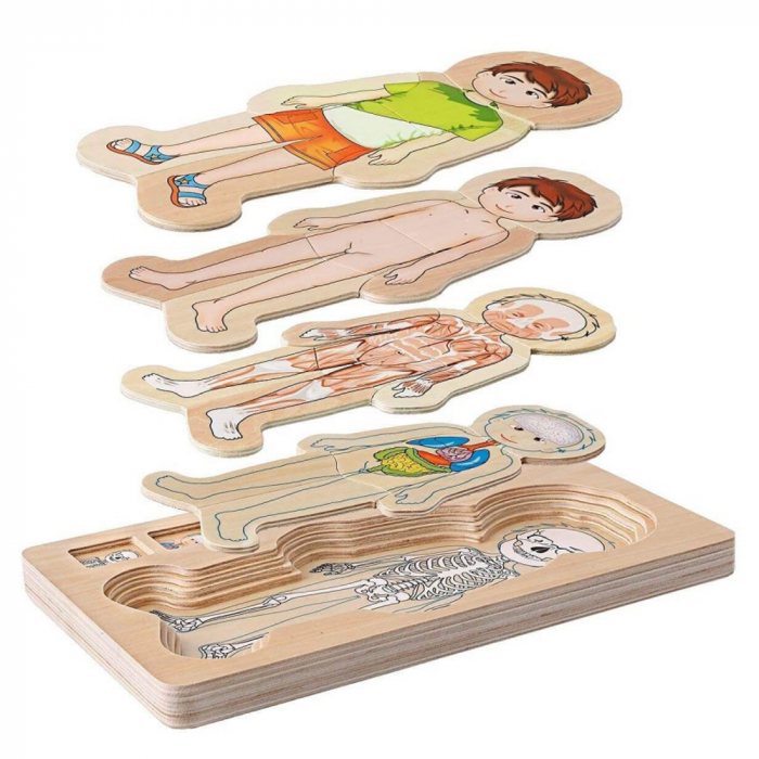 Puzzle Lemn Incastru - Anatomie a Corpului Uman, Baietel, WD 9530-A [5]