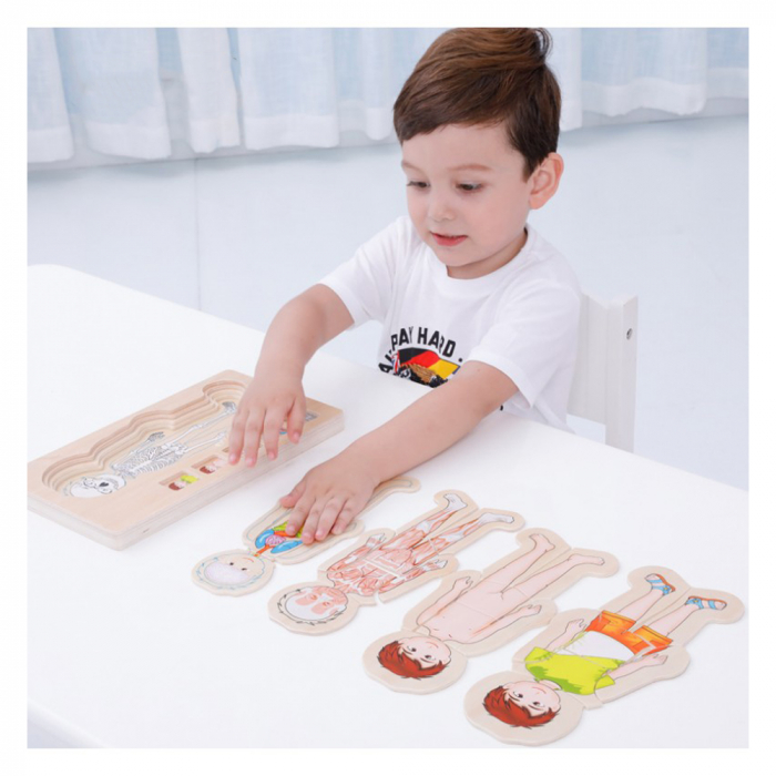 Puzzle Lemn Incastru - Anatomie a Corpului Uman, Baietel, WD 9530-A [1]