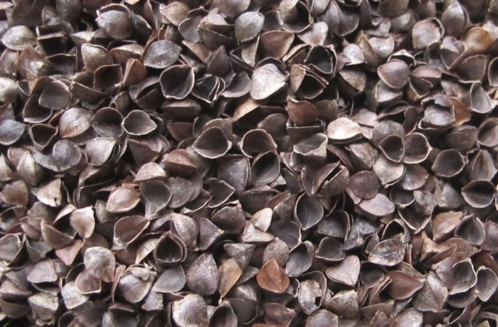 Saltea Sensillo Hrisca-Spuma-Cocos Luxe Aloe Vera, 120 x 60 x 11 cm 523825, Alb [5]