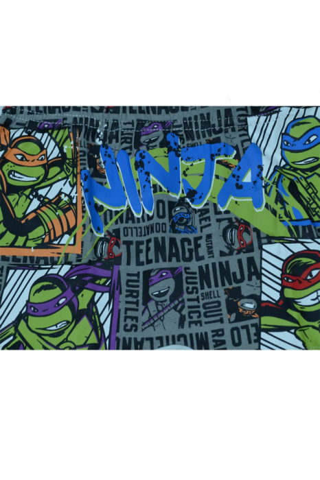 Set 2 boxeri pentru baieti Sun City Testoasele Ninja DPH3095N-104, Multicolor [2]
