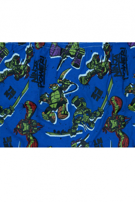 Set 2 boxeri pentru baieti Sun City Testoasele Ninja DPH3095N-104, Multicolor [3]