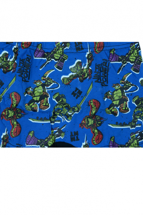 Set 2 boxeri pentru baieti Sun City Testoasele Ninja DPH3095VM-92, Multicolor [3]