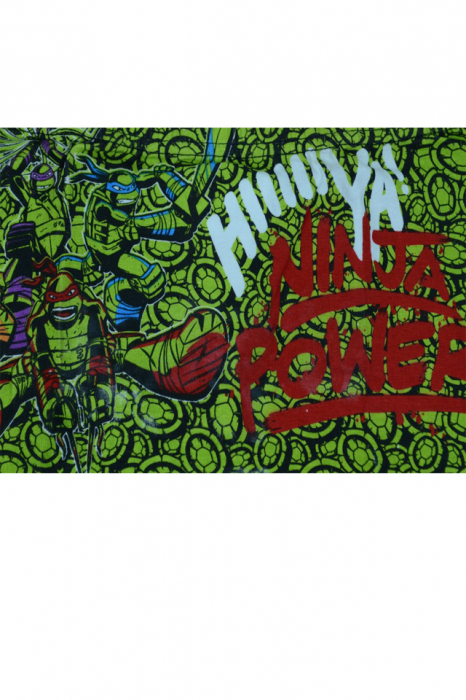 Set 2 boxeri pentru baieti Sun City Testoasele Ninja DPH3095VM-92, Multicolor [2]