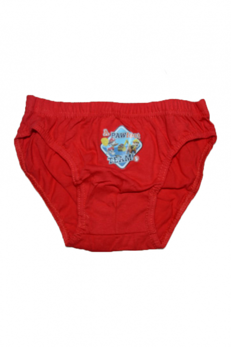 Set 3 chiloti baieti Sun City Patrol DQE3095-116, Multicolor [4]