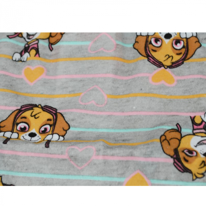 Set 3 chiloti fete Paw Patrol Disney CPP1-A-110-116-cm, Multicolor [2]
