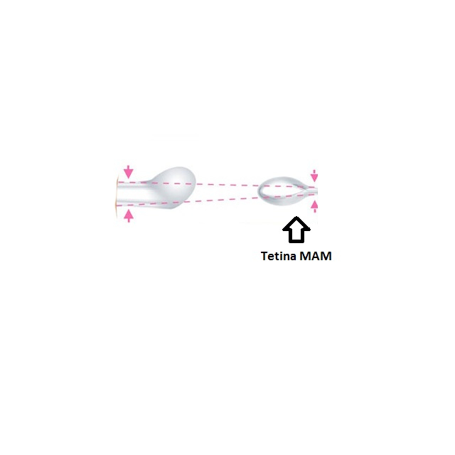Suzeta anatomica din silicon 0-2 luni MAM Perfect Start 712531 [4]