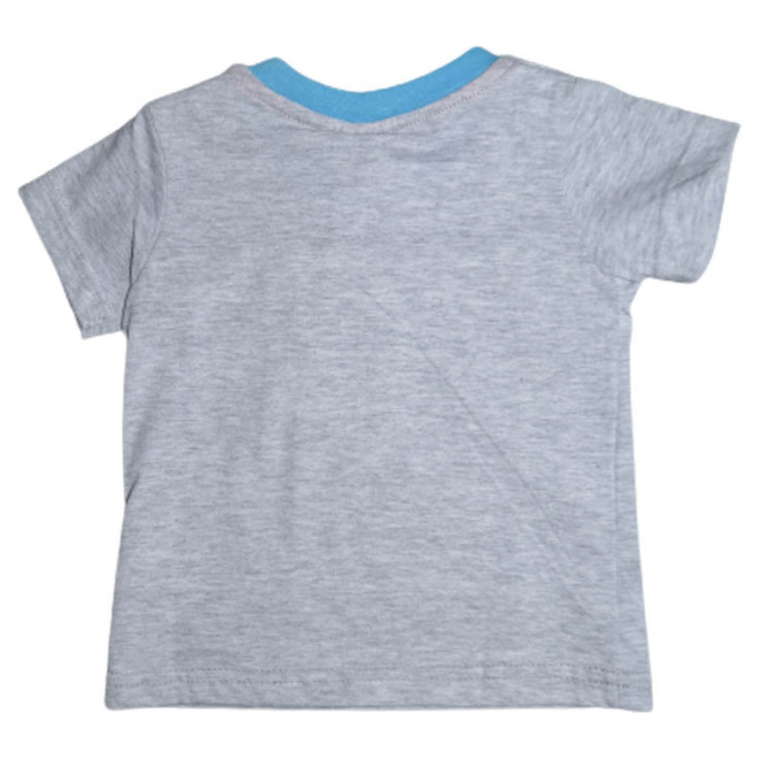 Tricou cu maneca scurta pentru baieti Disney 250423-G, Gri [2]
