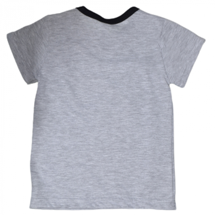 Tricou pentru baieti Koala 04-915G, Gri [2]