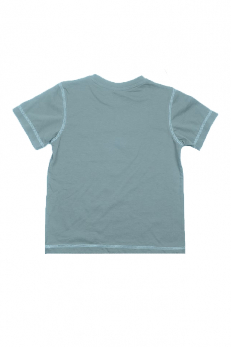 Tricou cu maneca scurta pentru baieti GT GT-2461-110, Gri [3]
