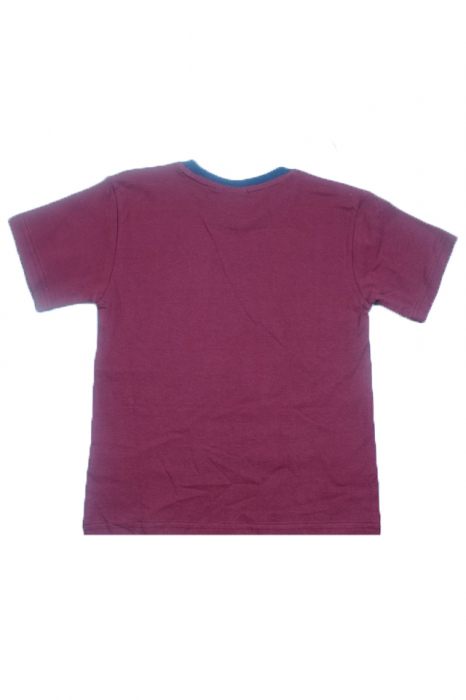 Tricou cu maneca scurta pentru baieti Mini Junior Mini NN-001-116, Visiniu [3]