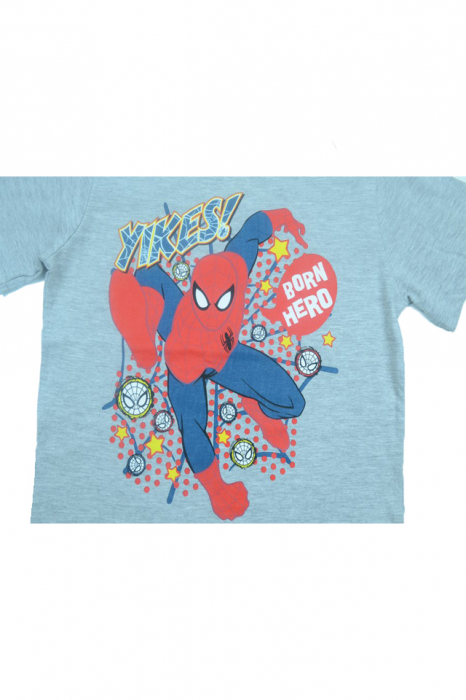 Tricou cu maneca scurta pentru baieti Sun City Spider Man EP1058, Gri [4]