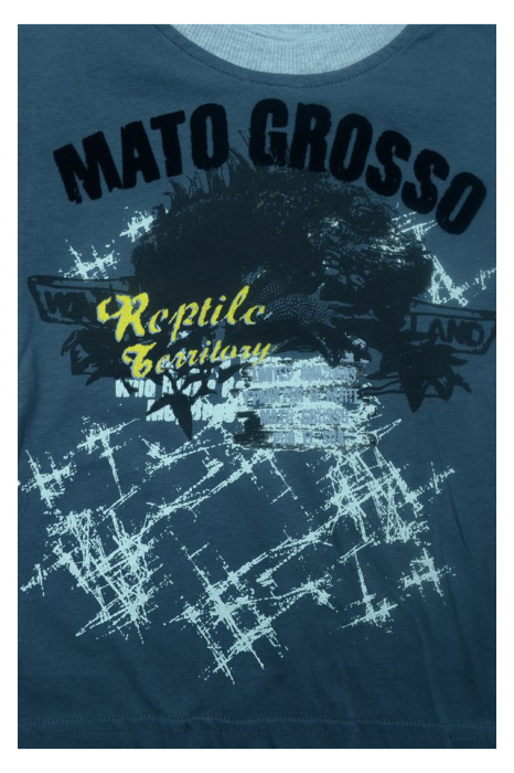 Tricou cu maneca scurta pentru baieti Wendee DY DY101265-2-128, Gri [2]