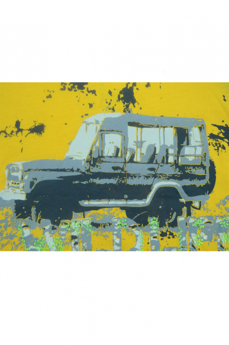 Tricou cu maneca scurta pentru baieti Wendee DY101253-1-122, Galben [2]