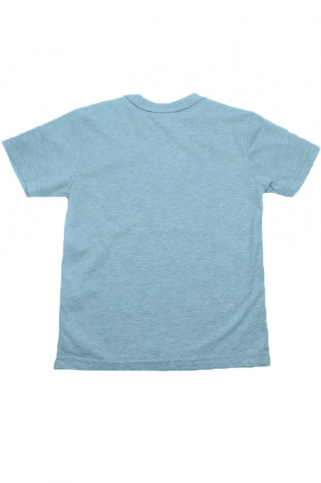 Tricou cu maneca scurta pentru baieti Wendee DY101289-2-140, Gri [4]