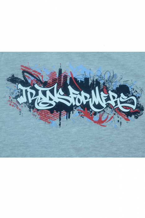 Tricou cu maneca scurta pentru baieti Wenice TA01300227-2-128, Gri [2]