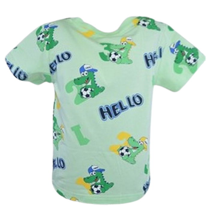 Tricou pentru baieti Happy House HH-0606-5, Verde [2]