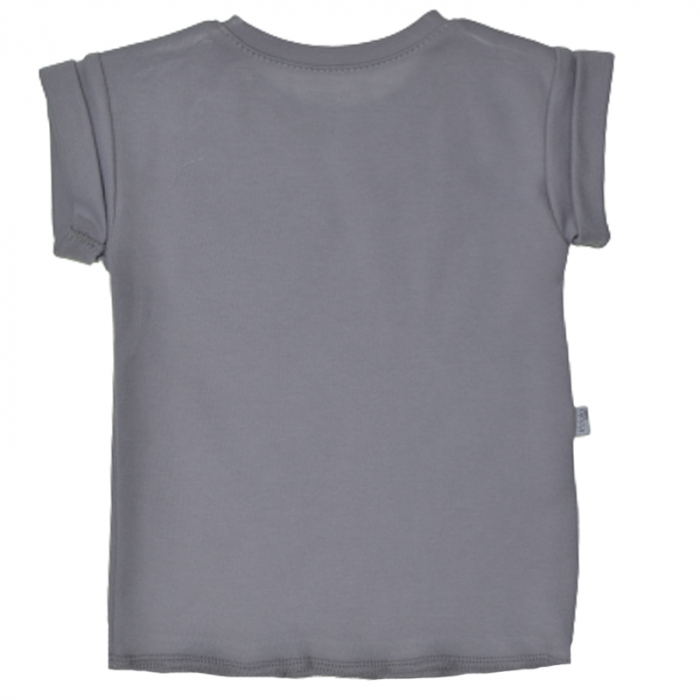 Tricou pentru baieti Koala Summer Boy 07-727GR, Gri [2]