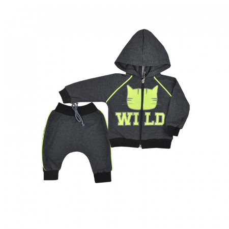 Compleu 2 piese hanorac si pantaloni pentru baieti Koala Wild 08-031-68 cm, Gri [1]