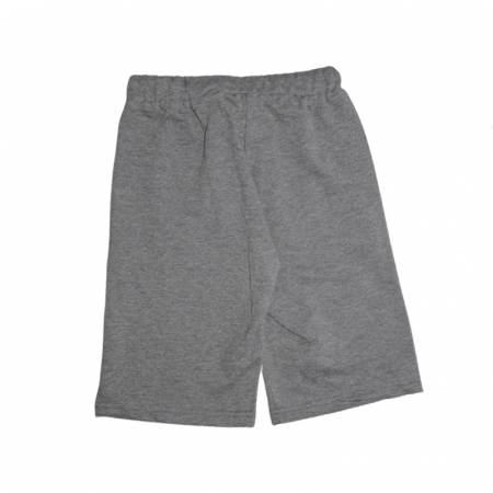 Pantaloni scurti pentru baieti Assassins Creed 890-106, Gri [1]