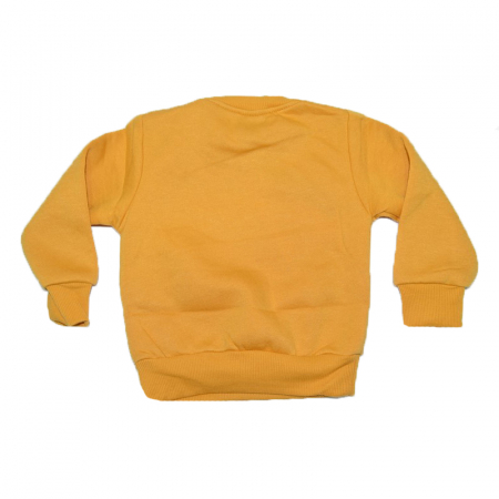 Bluza captusita cu maneca lunga pentru baieti Happy House HB-2306-B, Galben [1]