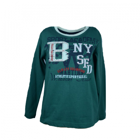 Bluze cu maneci lungi - Bluza cu maneca lunga pentru baieti Wendee DS101121-1V-110, Verde