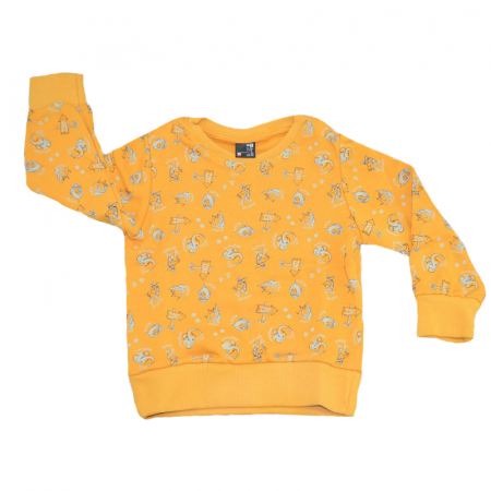 Bluze cu maneci lungi - Bluza cu maneca lunga pentru baieti Atut BL8370-B-122, Portocaliu