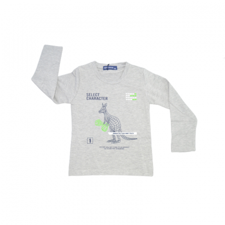 Bluze cu maneci lungi - Bluza cu maneca lunga pentru baieti Happy House HB-8904G, Gri