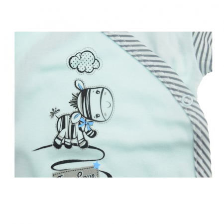 Bluza cu maneca lunga pentru baieti Koala Zebra 2953A1-68-cm, Multicolor [1]