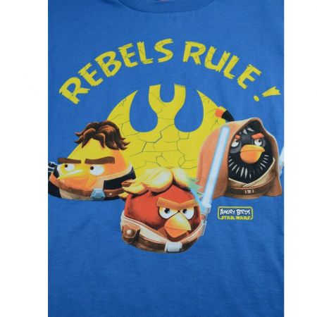 Bluza cu maneca lunga pentru baieti MARCO&POLO Angry Birds EMB061AL-128, Albastru [1]