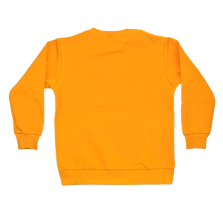 Bluza flausata, cu maneca lunga, pentru baieti, Atut 1028G-140, Galben [1]
