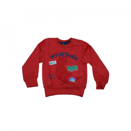Bluze cu maneci lungi - Bluza cu maneca lunga pentru baieti Happy House HB-2192-3-92, Multicolor