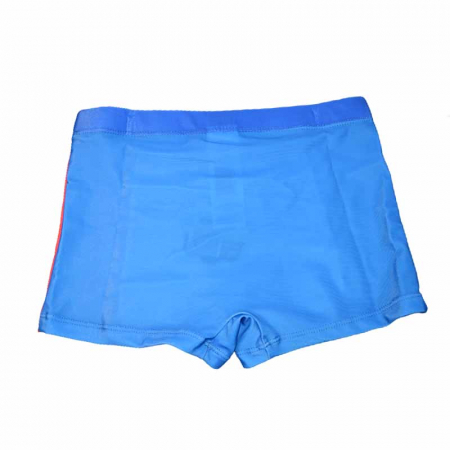Boxeri de plaja pentru baieti E Plus M Paw Patrol 049099, Albastru [1]