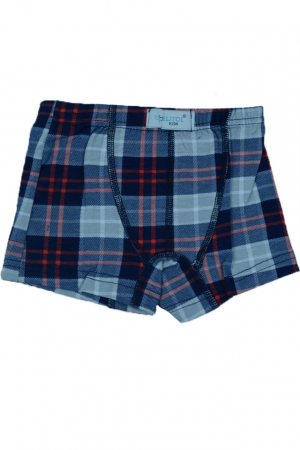 Lenjerie intima - Boxeri pentru baieti Elitol BBE8-116, Multicolor