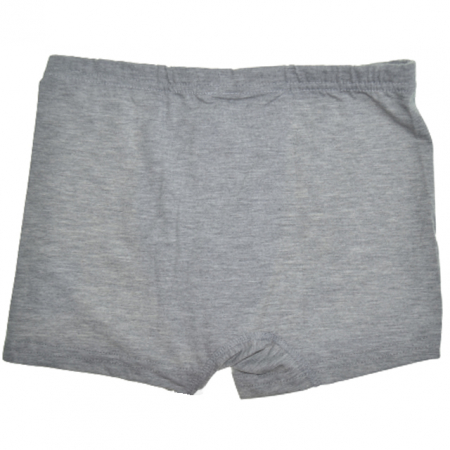 Lenjerie intima - Boxeri pentru baieti Mini Junior 190723G, Gri
