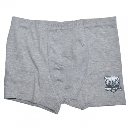 Lenjerie intima - Boxeri pentru baieti Mini Junior 190723G, Gri